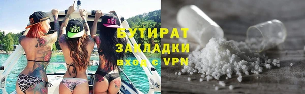 хмурый Аркадак