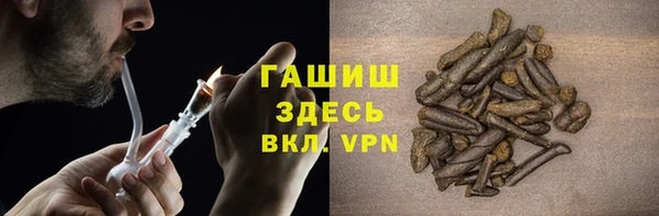 хмурый Аркадак