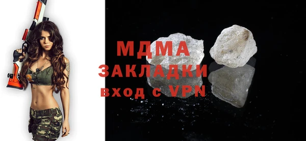 хмурый Аркадак