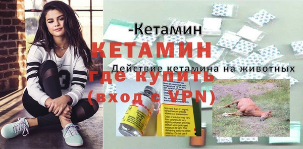 хмурый Аркадак