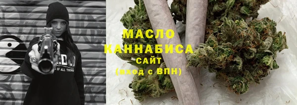 хмурый Аркадак