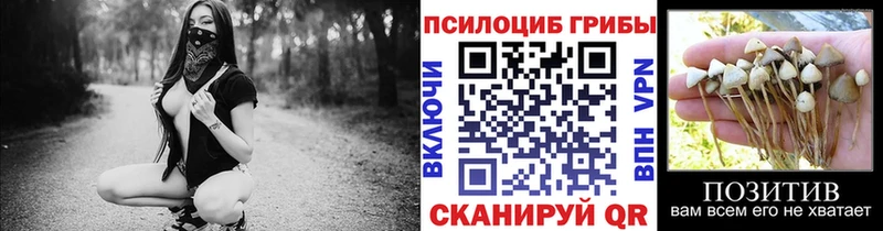 Галлюциногенные грибы мухоморы  kraken как войти  Починок  наркотики 